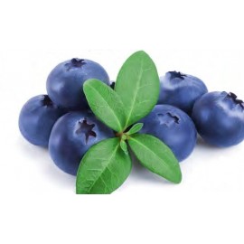 Nawóz mineralny do borówek granulat 5kg Agrecol