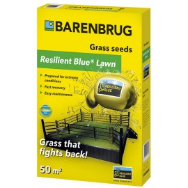 Trawa Barenbrug Resilient Blue Lawn uniwersalna